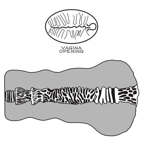 #COLORE_MARRONE CHIARO