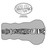 #COLORE_MARRONE CHIARO