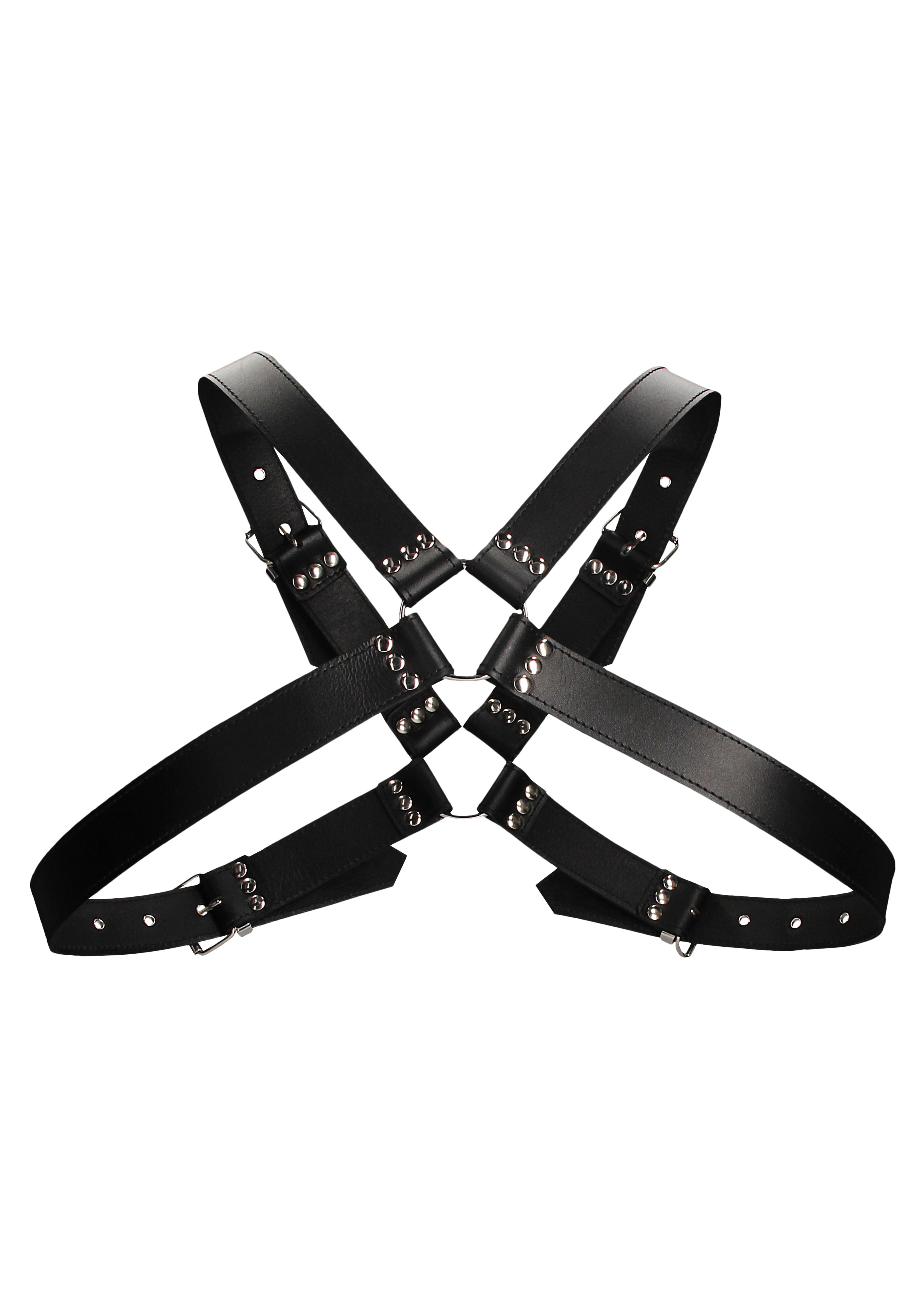 harness uomo large buckle
