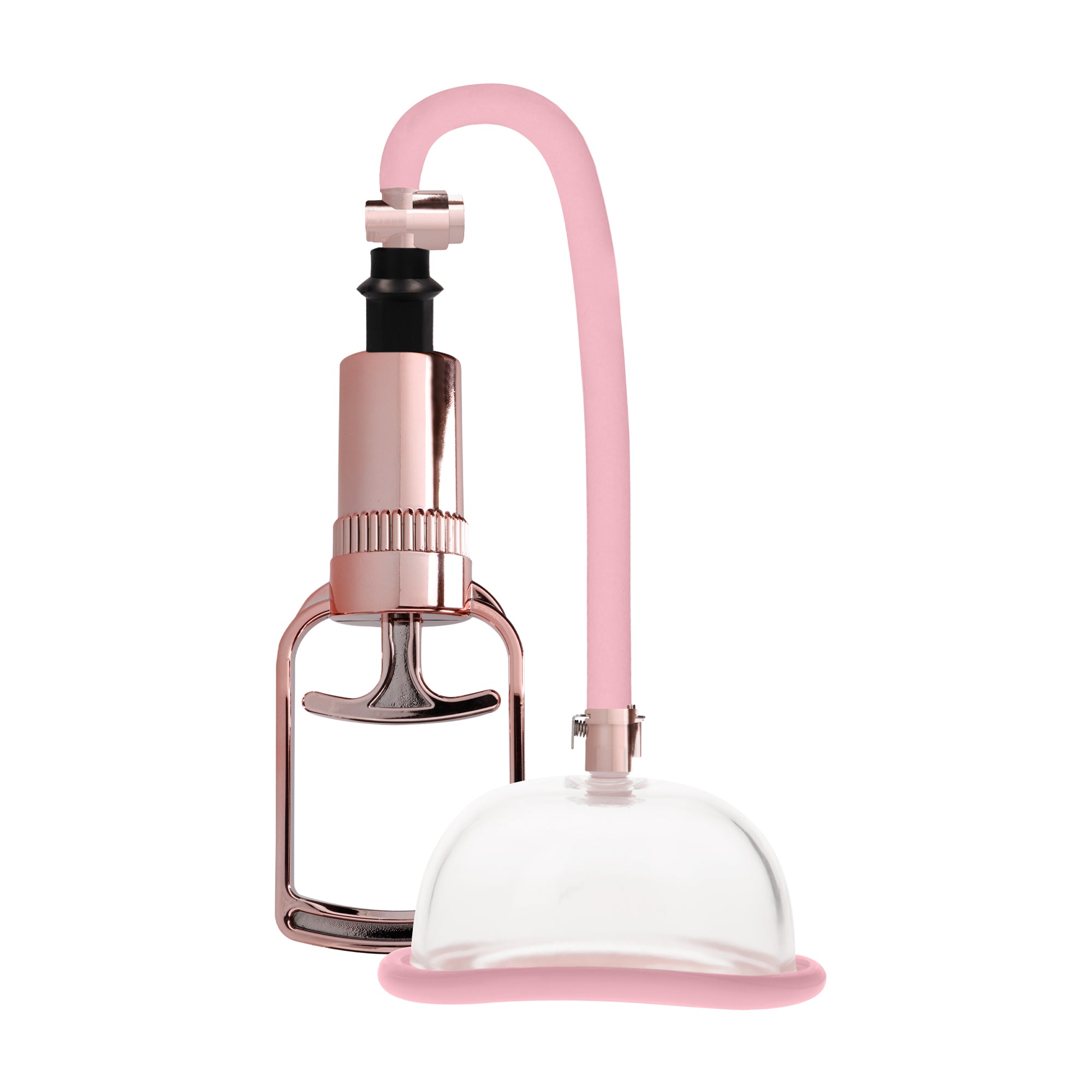 succhia clitoride vagina pumped rosa