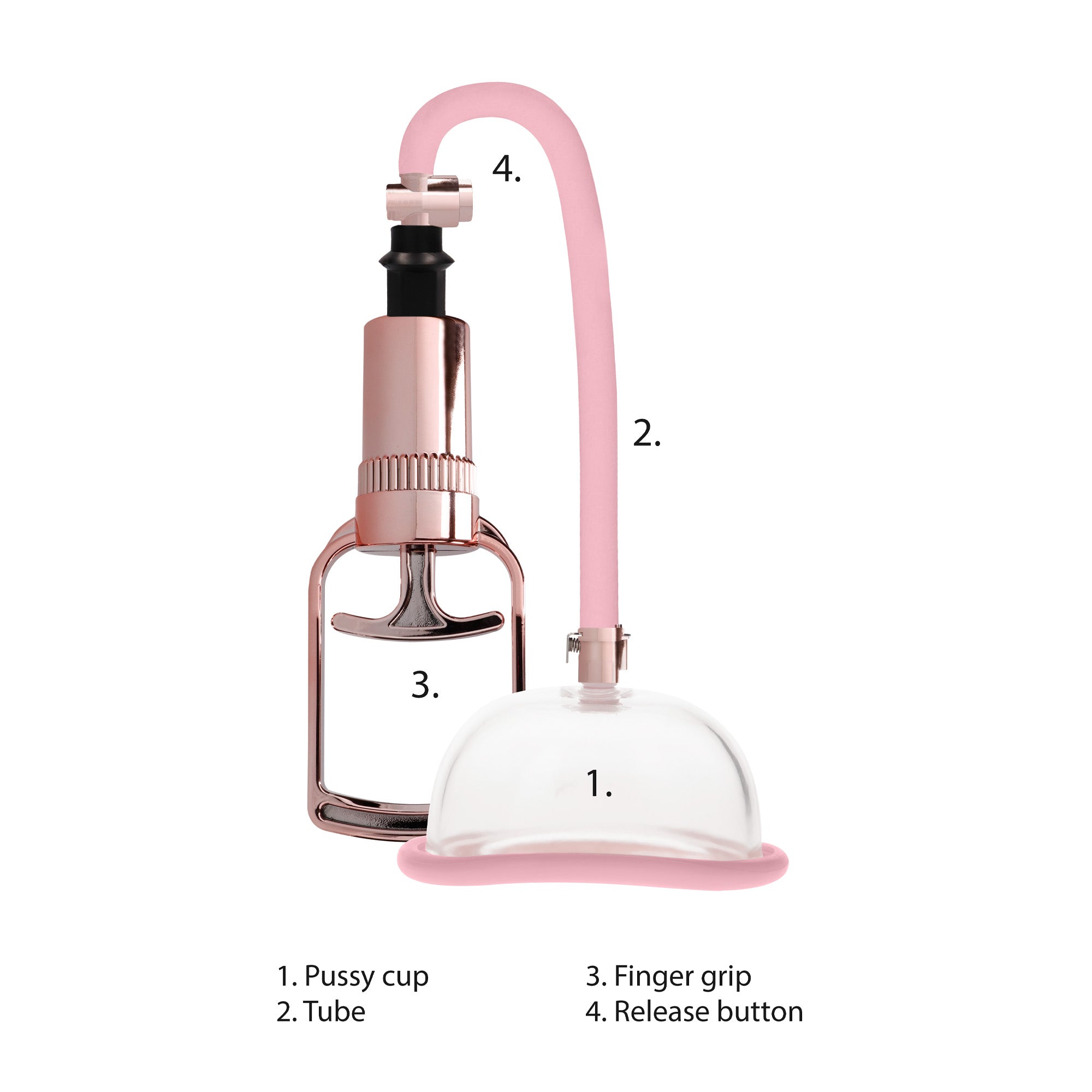succhia clitoride vagina pumped rosa