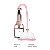 succhia clitoride vagina pumped rosa