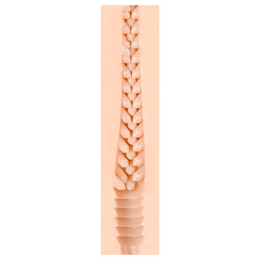 vagina artificiale jenna haze fleshlight