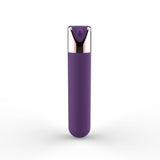 mini vibratore unforgettable moments toyz4lovers fronte