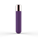 mini vibratore unforgettable moments toyz4lovers retro